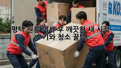 평택 원룸 이사 후, 깨끗한 새 시작! 후기와 청소 꿀팁