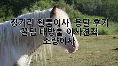 장거리 원룸이사 🚚 용달 후기: 꿀팁 대방출! #이사견적 #소량이사